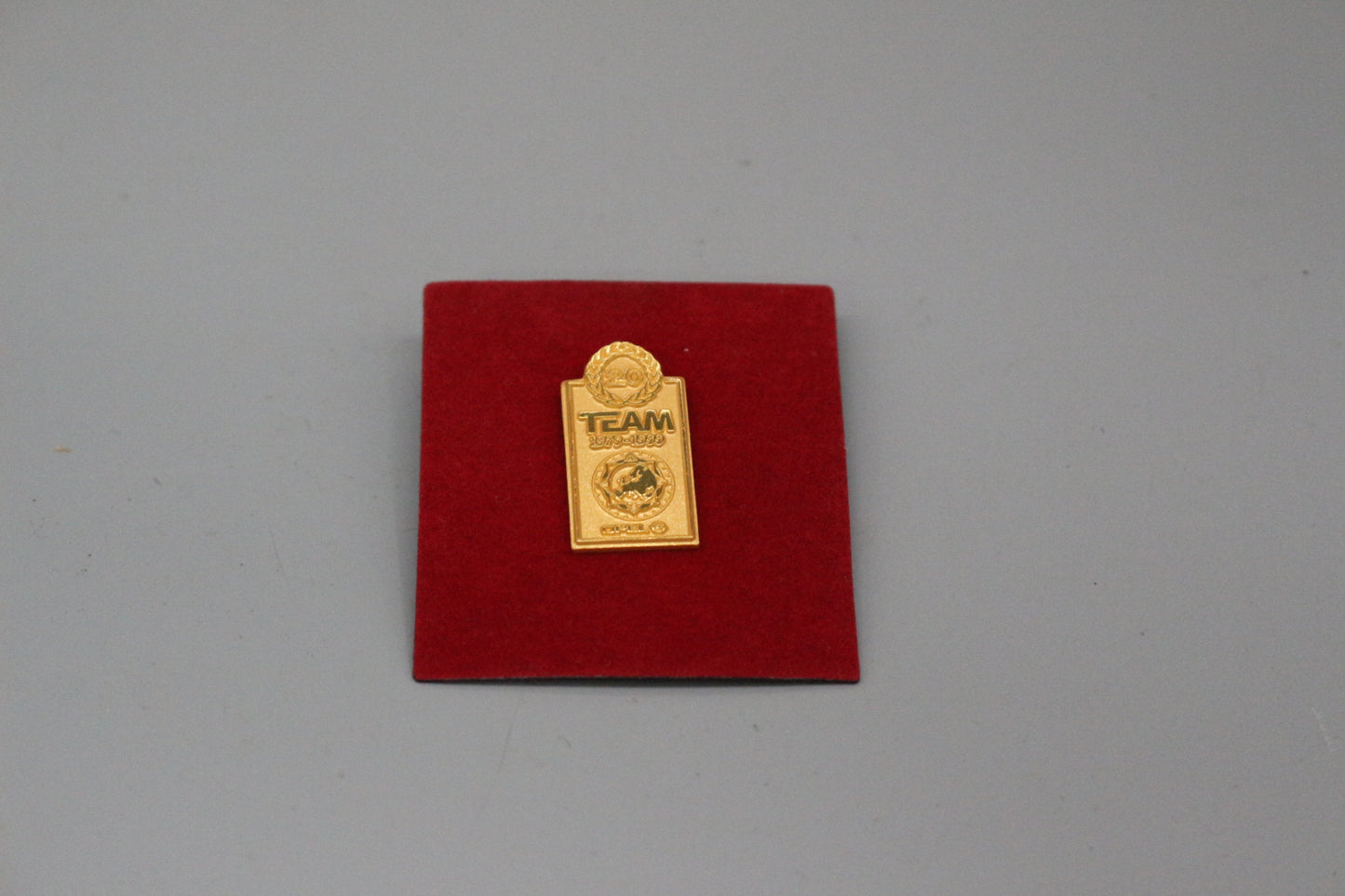 PIN Abzeichen Opel Team 20 Jahre 1979-1999