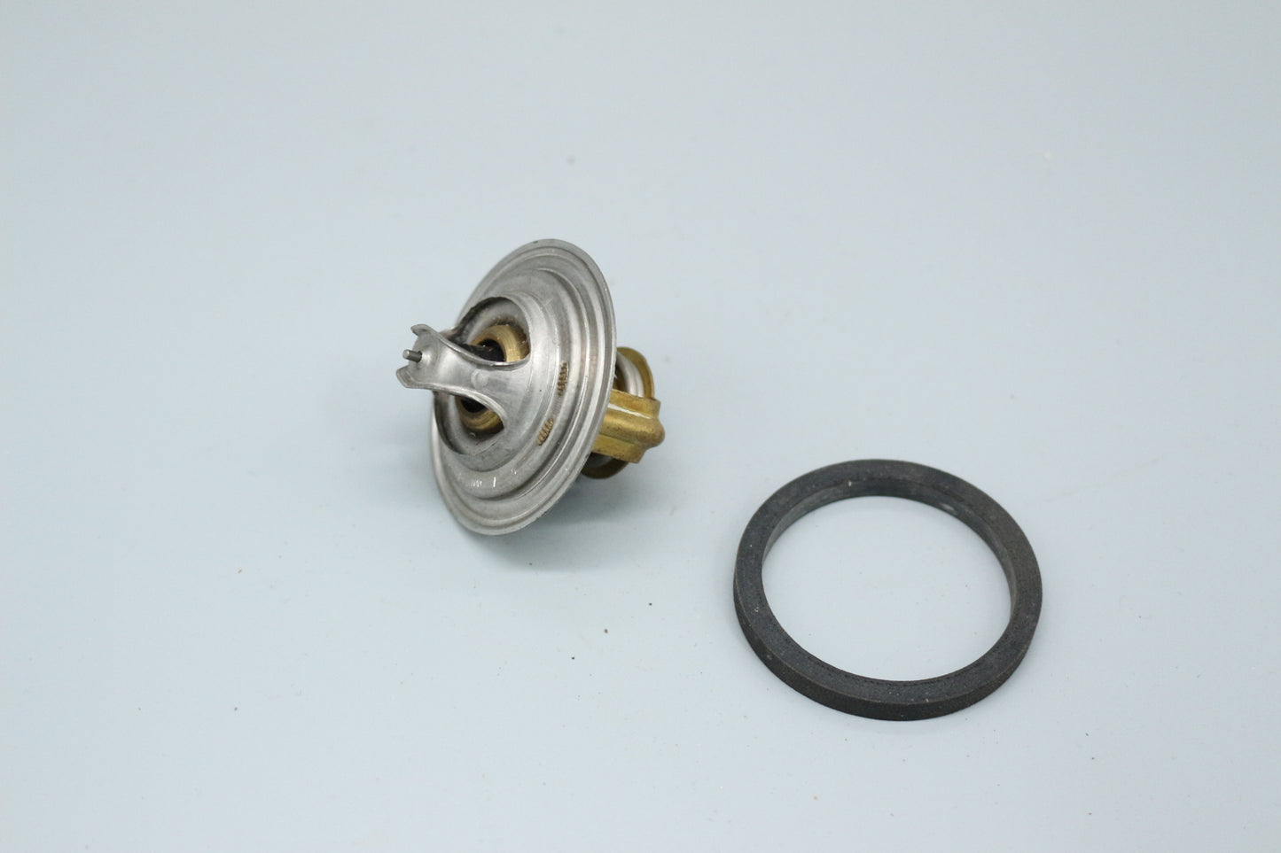 Thermostat + Dichtung