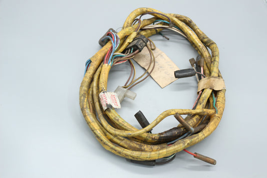 Kabelbaum Motor und Licht vorn